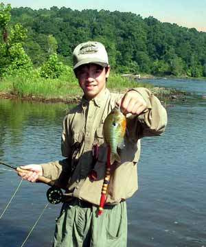A big Flint River redbreast...