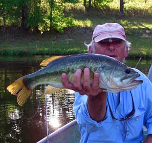 Largemouth bass on the fly...