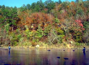 Fall on the Flint........