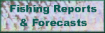 Fishing reports & forecast