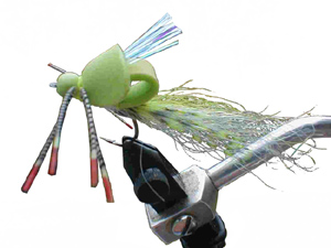 bass and bream eat the Stealth Bomber.