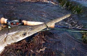 Flint River gar...