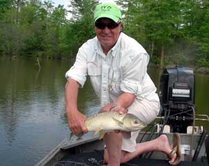 Grass carp on the fly