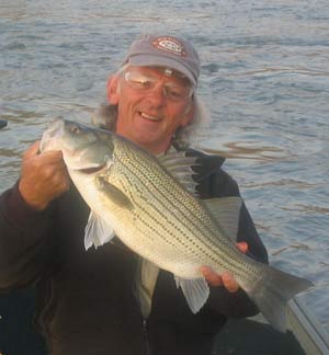 chattahoochee hybrid striper