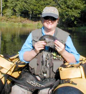 Big Callaway Gardens bluegill