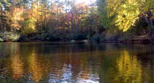 Fall on the lakes at Callaway......