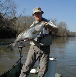 http://www.flyfishga.com/images/pete_stripe_250.jpg