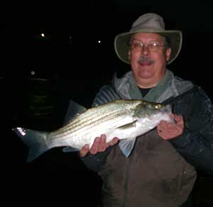 Hybrid at Columbus Riverwalk