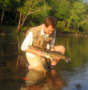 A fat Flint river shoal bass...