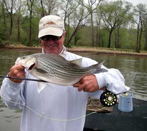 Paul with a nice hybrid...
